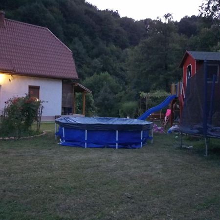 Cottage Forest Stream Високо Екстериор снимка