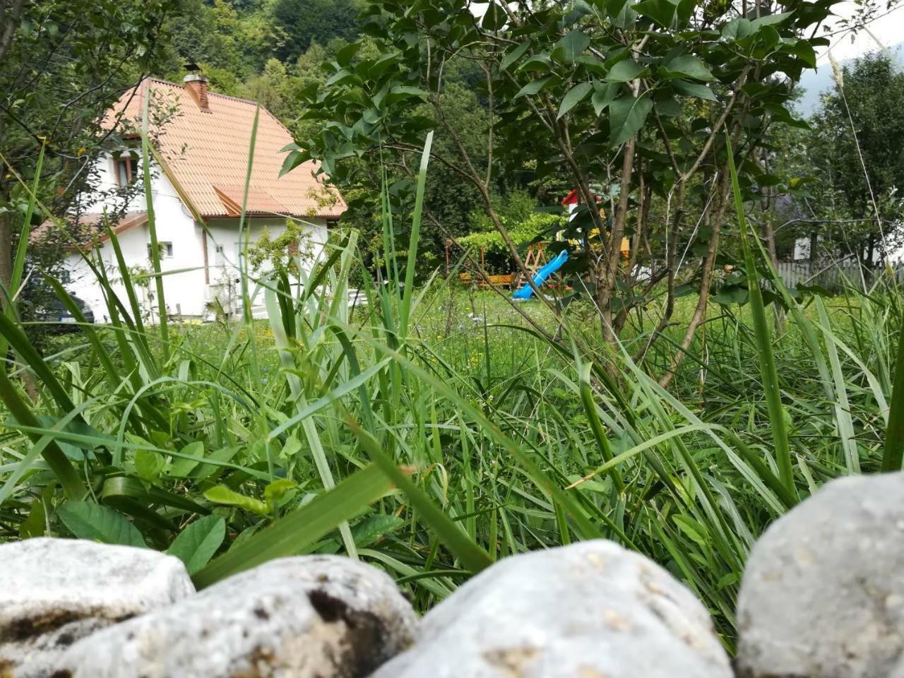 Cottage Forest Stream Високо Екстериор снимка